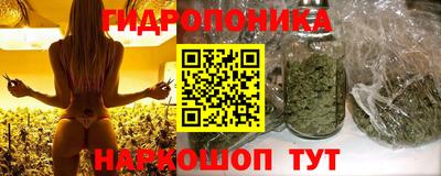 гидра Гай