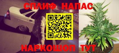 гидра Гай