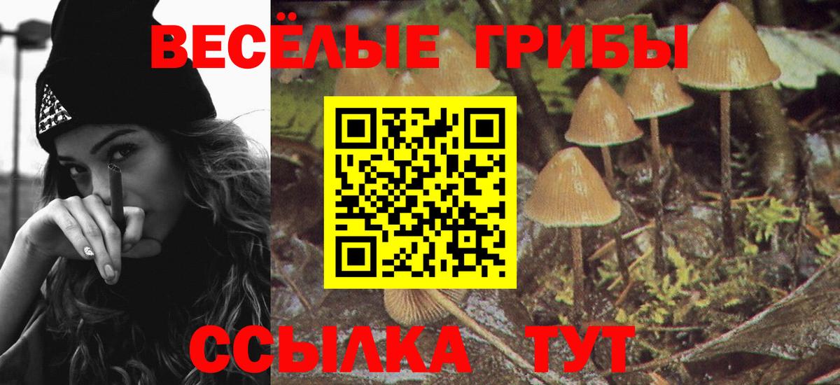 Ноябрьск  Псилоцибиновые грибы MAGIC MUSHROOMS  Галлюциногенные грибы GOLDEN TEACHER  Вход с VPN 