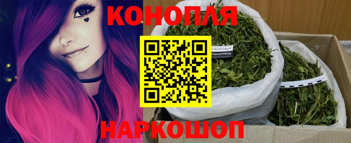 Марихуана сатива Ноябрьск